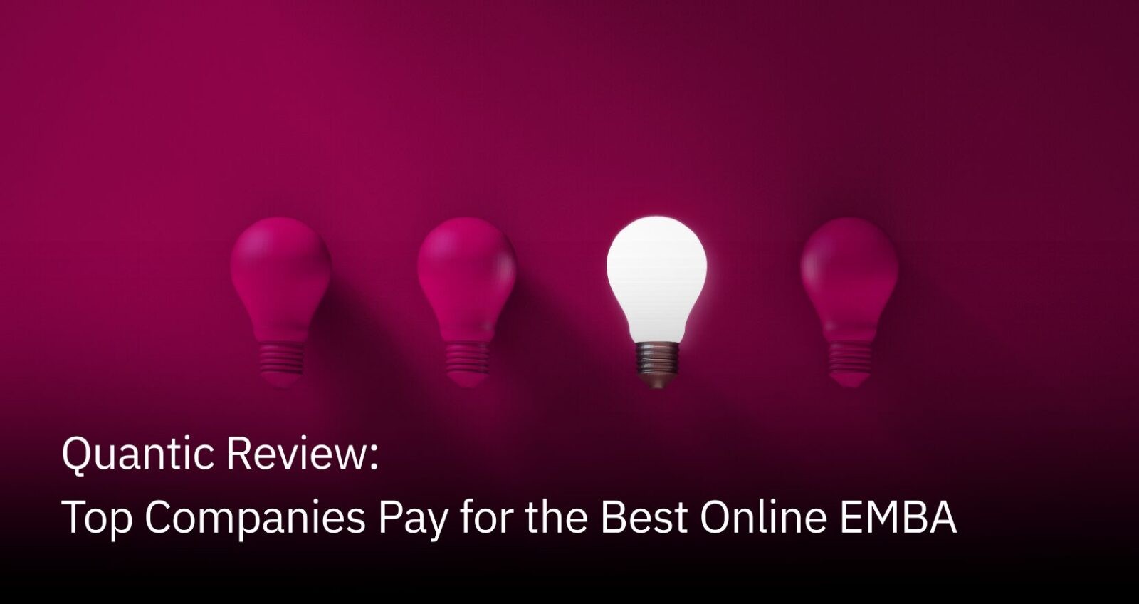 Quantic Review: Top Companies Pay for the Best Online EMBA | The Quantic Blog (1)